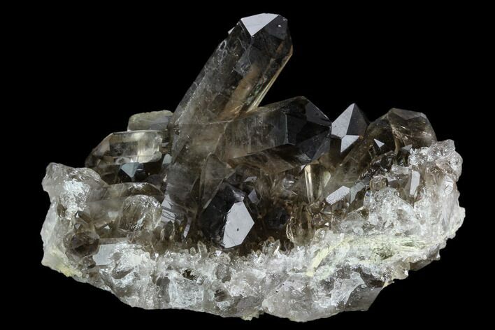 Dark Smoky Quartz Crystal Cluster - Brazil #124591
